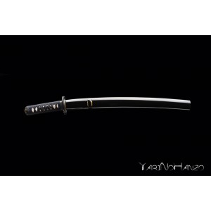 Musashi Wakizashi | Handmade Iaito Sword |