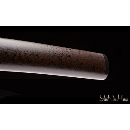 Fujiwara | Ręcznie kuty miecz Iaito |